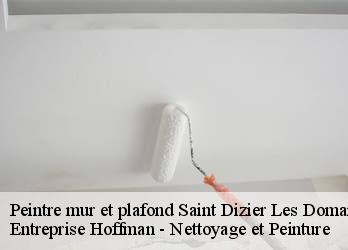 Peintre mur et plafond  23270