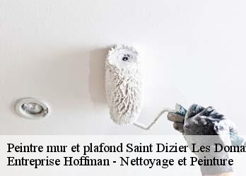 Peintre mur et plafond 23270