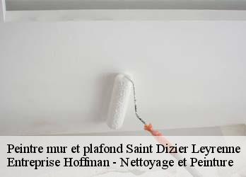Peintre mur et plafond  23400