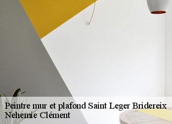 Peintre mur et plafond saint-leger-bridereix-23300 Nehemie Clément
