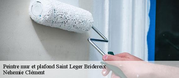 Peintre mur et plafond saint-leger-bridereix-23300 Nehemie Clément
