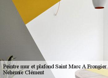 Peintre mur et plafond saint-marc-a-frongier-23200 Nehemie Clément