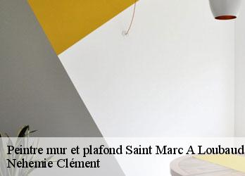 Peintre mur et plafond  saint-marc-a-loubaud-23460 Nehemie Clément 