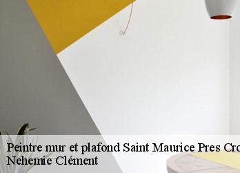 Peintre mur et plafond  saint-maurice-pres-crocq-23260 Nehemie Clément 