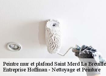 Peintre mur et plafond  23100