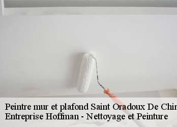 Peintre mur et plafond  23100