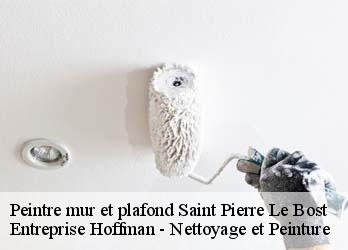 Peintre mur et plafond  23600