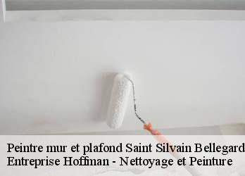 Peintre mur et plafond  23190