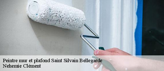 Peintre mur et plafond  saint-silvain-bellegarde-23190 Nehemie Clément 