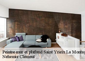 Peintre mur et plafond  saint-yrieix-la-montagne-23460 Nehemie Clément 