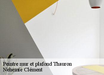 Peintre mur et plafond  thauron-23250 Nehemie Clément 