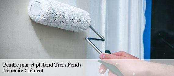 Peintre mur et plafond trois-fonds-23230 Nehemie Clément