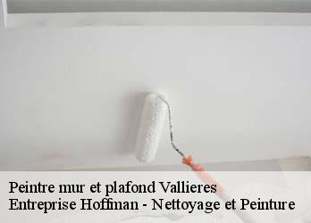 Peintre mur et plafond  23120