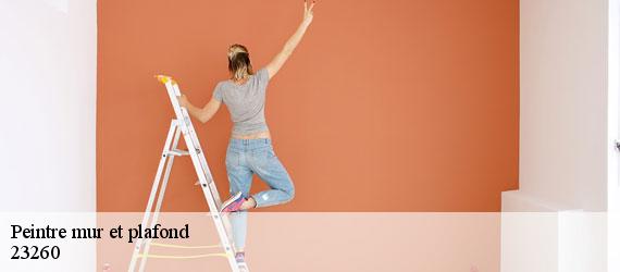 Peintre mur et plafond  la-villeneuve-23260 Nehemie Clément 