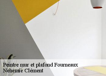 Peintre mur et plafond  fourneaux-23200 Nehemie Clément 