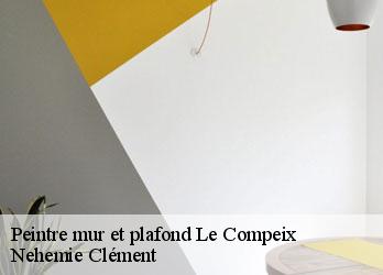 Peintre mur et plafond  le-compeix-23460 Nehemie Clément 