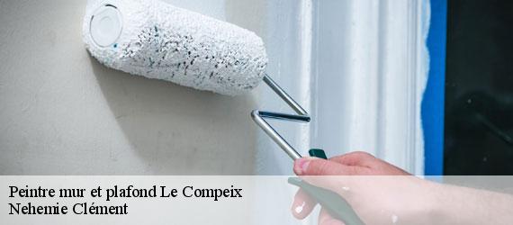 Peintre mur et plafond  le-compeix-23460 Nehemie Clément 