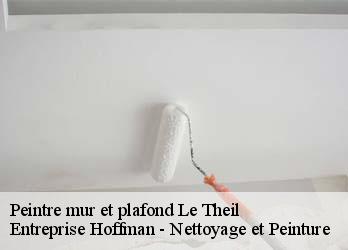 Peintre mur et plafond  23430