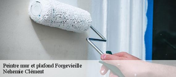 Peintre mur et plafond forgevieille-23160 Nehemie Clément