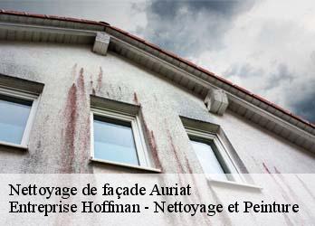 Nettoyage de façade  23400
