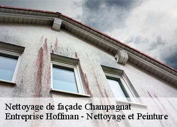 Nettoyage de façade  23190