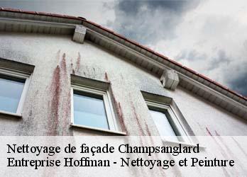 Nettoyage de façade  23220