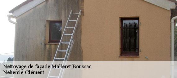 Nettoyage de façade  malleret-boussac-23600 Nehemie Clément 