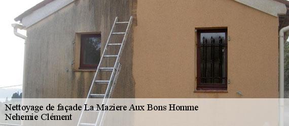 Nettoyage de façade la-maziere-aux-bons-homme-23260 Nehemie Clément