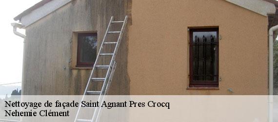 Nettoyage de façade saint-agnant-pres-crocq-23260 Nehemie Clément