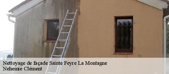 Nettoyage de façade  sainte-feyre-la-montagne-23500 Nehemie Clément 