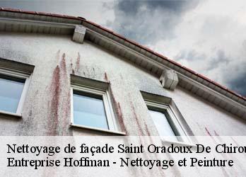 Nettoyage de façade  23100
