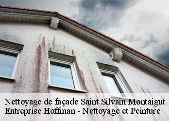 Nettoyage de façade  23320