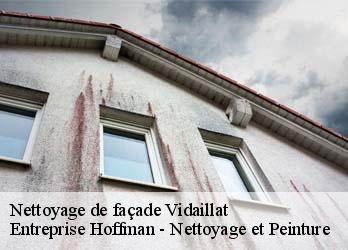 Nettoyage de façade  23250