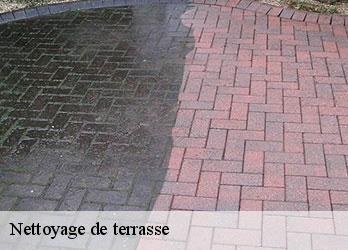 Nettoyage de terrasse brousse-23700 Nehemie Clément