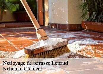 Nettoyage de terrasse  lepaud-23170 Nehemie Clément 