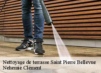 Nettoyage de terrasse saint-pierre-bellevue-23460 Nehemie Clément