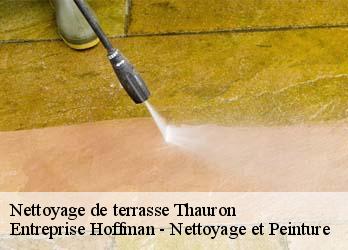 Nettoyage de terrasse  23250