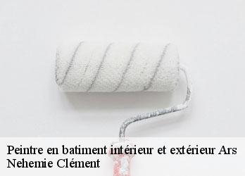 Peintre en batiment intérieur et extérieur  ars-23480 Nehemie Clément 