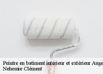 Peintre en batiment intérieur et extérieur  augeres-23210 Nehemie Clément 