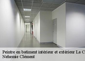 Peintre en batiment intérieur et extérieur  la-celle-dunoise-23800 Nehemie Clément 