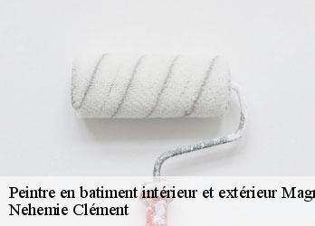 Peintre en batiment intérieur et extérieur  magnat-l-etrange-23260 Nehemie Clément 