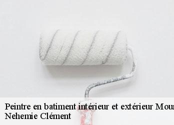 Peintre en batiment intérieur et extérieur mourioux-vieilleville-23210 Nehemie Clément