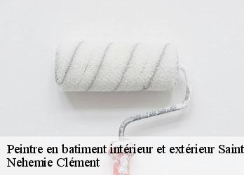 Peintre en batiment intérieur et extérieur  saint-alpinien-23200 Nehemie Clément 