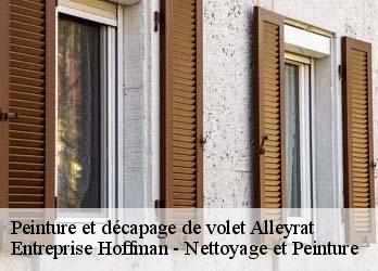 Peinture et décapage de volet 23200