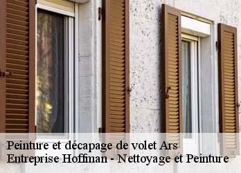 Peinture et décapage de volet  23480