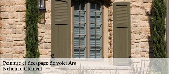 Peinture et décapage de volet  ars-23480 Nehemie Clément 