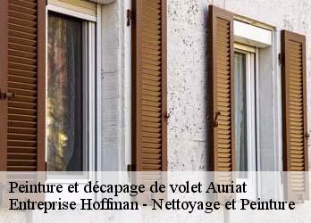 Peinture et décapage de volet  23400