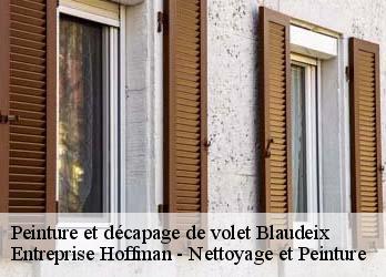 Peinture et décapage de volet  23140