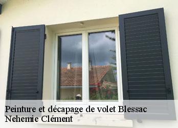 Peinture et décapage de volet blessac-23200 Nehemie Clément