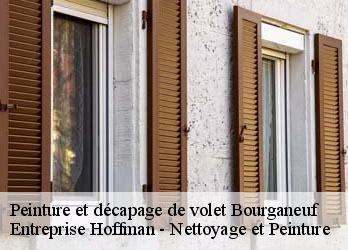 Peinture et décapage de volet  23400